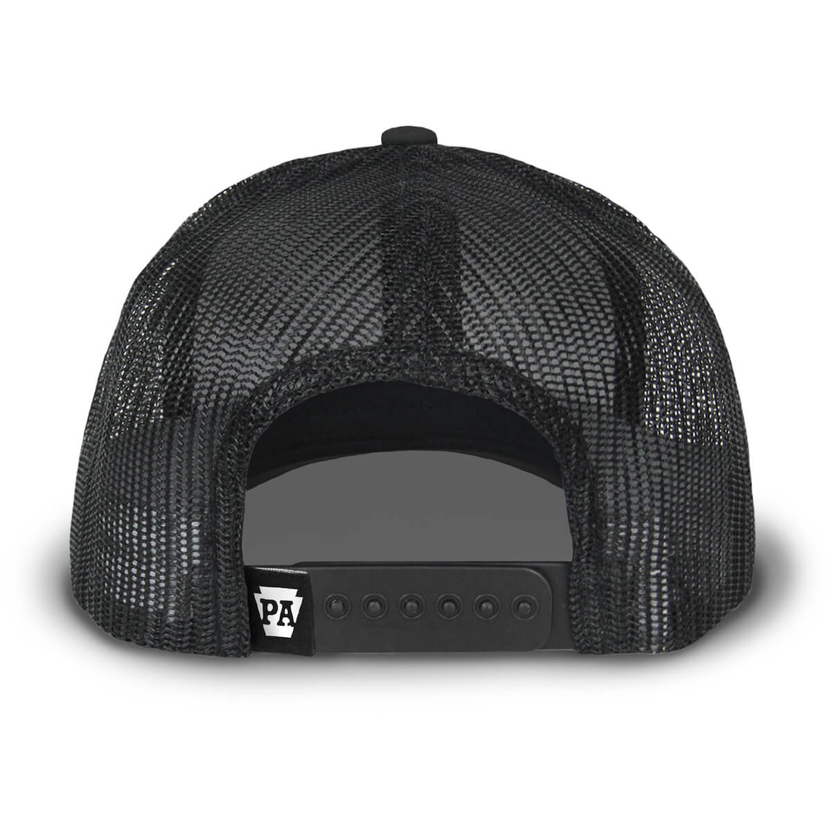 Back view showing a black mesh backing and snapback.